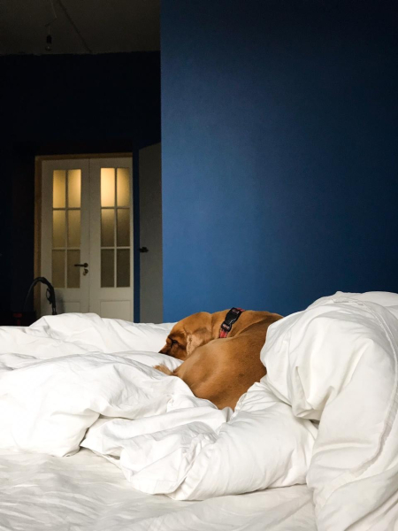 «Сталинка, я выбираю тебя!». Почему люди хотят жить в домах 30–50-х годов постройки