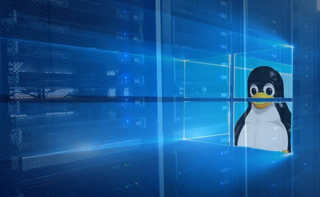 Франция освободится от цифрового рабства США: страна перейдет с Windows на Linux