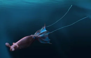 Следы морских чудовищ: существовали ли кракены во времена динозавров?