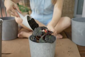 Что такое компост и как сделать его в квартире