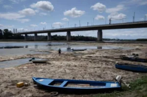 На берегу Дуная нашли останки молодого мамонта, скрытые под водой со времен ледникового периода